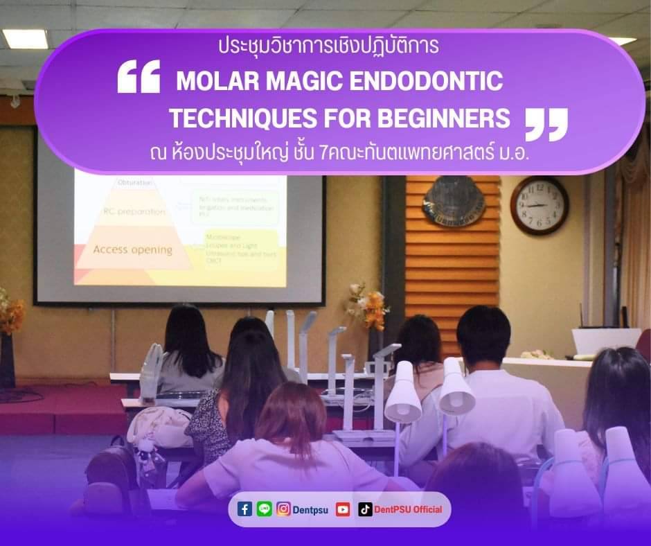 โครงการ MOLAR MAGIC : ENDODONTIC TECHNIQUES FOR BEGINNERS