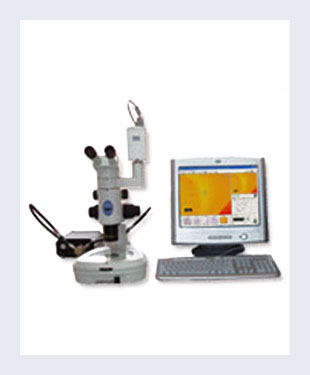 Stereoscopic microscope